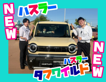 ハスラーが新しくなりました☺